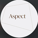 Aspect logo